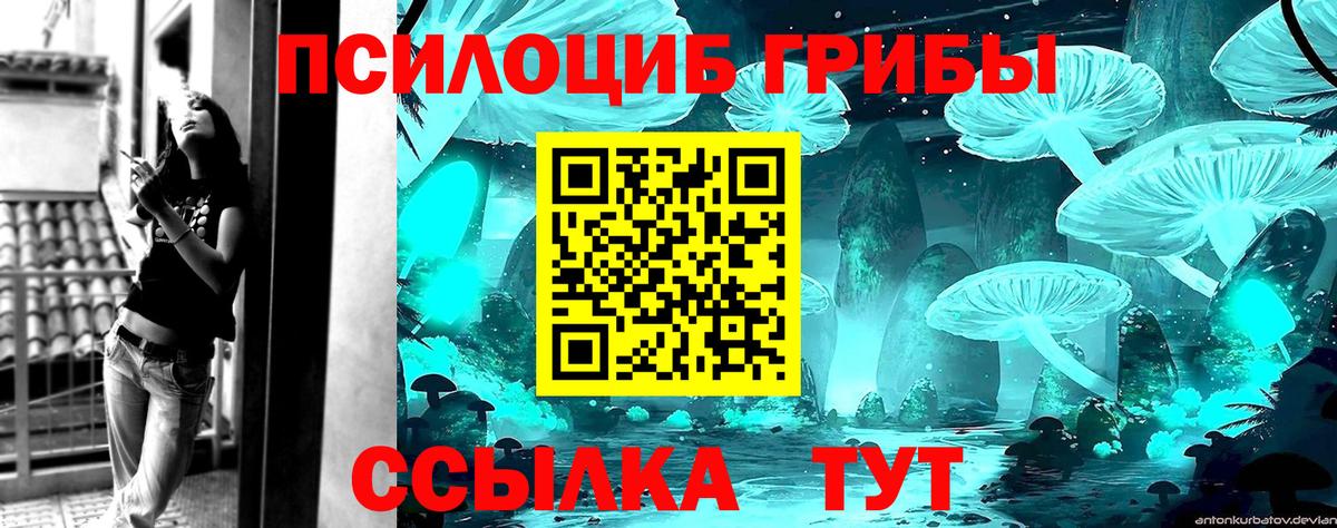 Псилоцибиновые грибы GOLDEN TEACHER Киселёвск